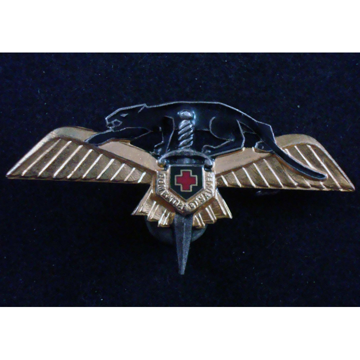 22° EH : insigne métallique du 22° escadron d'hélicoptères de fabrication A.B A. 792 dos embouti et argenté