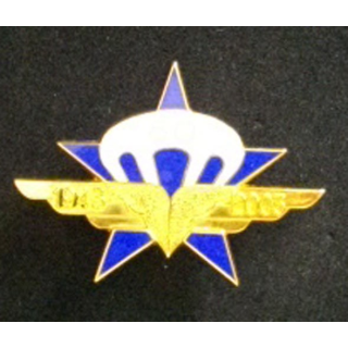 1° RÉGIMENT DE CHASSEURS PARACHUTISTES 60°ANNIVERSAIRE RCP
