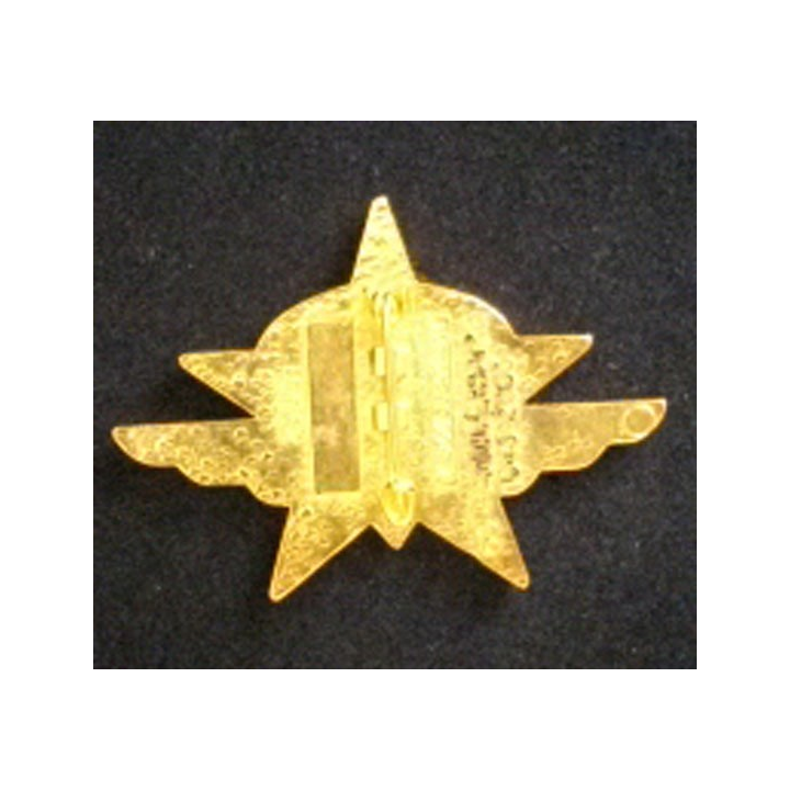 1° RÉGIMENT DE CHASSEURS PARACHUTISTES 60°ANNIVERSAIRE RCP