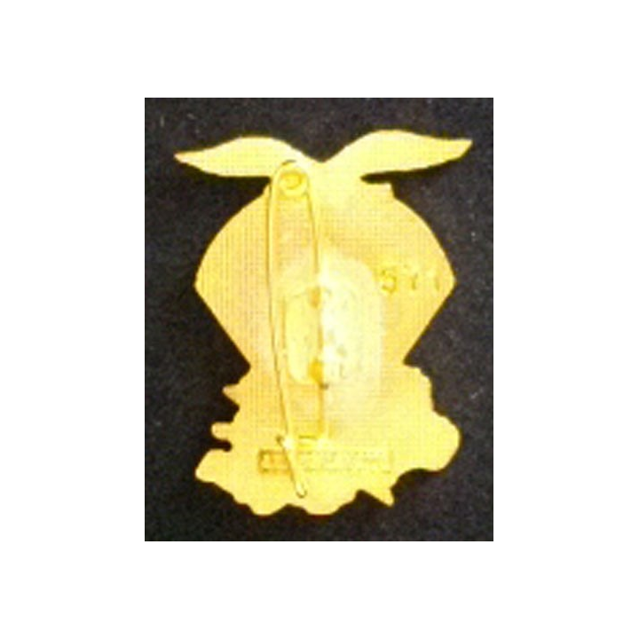 1° RÉGIMENT DE CHASSEURS PARACHUTISTES LES EVAT N° RCP