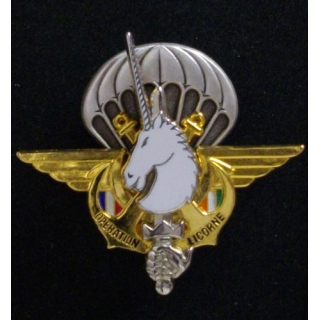 1° RCP : 1° RÉGIMENT DE CHASSEURS PARA OPÉRATION LICORNE