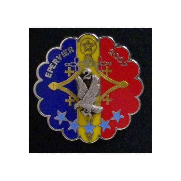 1°RHP : 1°RÉGIMENT DE HUSSARDS PARA 2°ESCADRON ÉPERVIER 2007