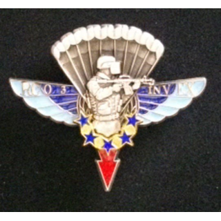 1° RPIMA : 1° RÉGIMENT PARA D'INF DE MARINE RAPAS RCO3 INVEX