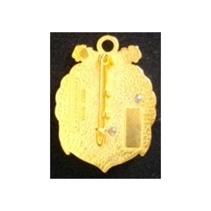3° RPIMA : insigne métallique de la 5° compagnie du 3° régiment parachustiste d'infanterie de marine de fabrication Boussemart