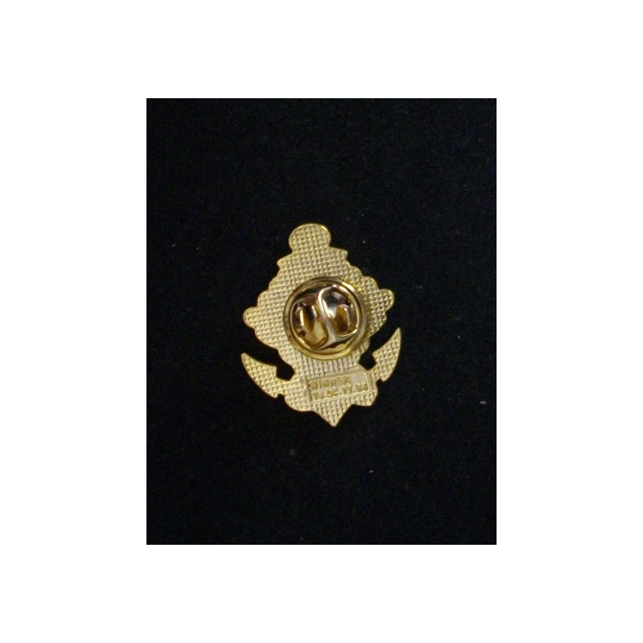 1° RPIMA : 1° RÉGIMENT PARA D'INF MARINE 2° CIE (PIN'S) EN ÉMAIL
