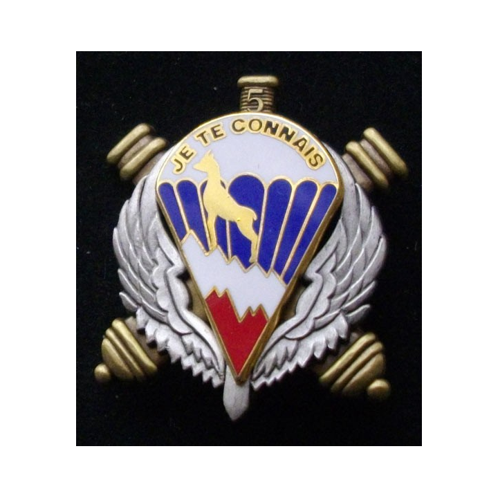 35°RAP : 35°RÉGIMENT D'ARTILLERIE PARACHUTISTE 5° BATTERIE