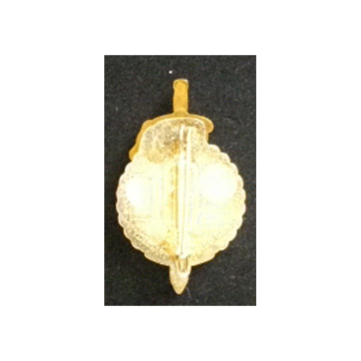 6° RPIMA : 6° RÉGIMENT PARACHUTISTE D'INF DE MARINE 3°CIE LIBAN 80