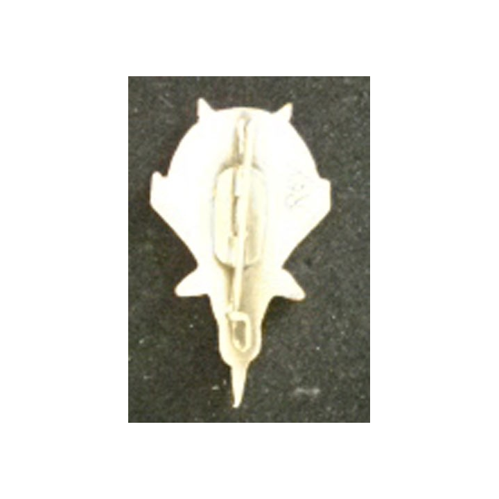 BA 181 : SECTION PARACHUTISTE BASE 181 IVATO