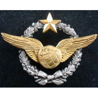 BREVET AIR : insigne métallique de brevet de navigateur poinçon air