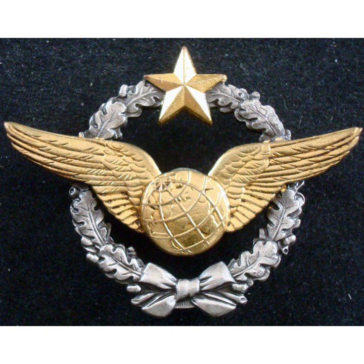 BREVET AIR : insigne métallique de brevet de navigateur poinçon air