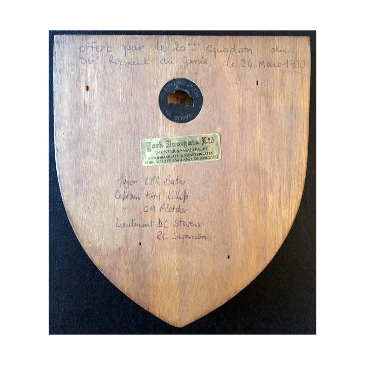 Insigne du 20eme Squadron du 36e régiment du génie