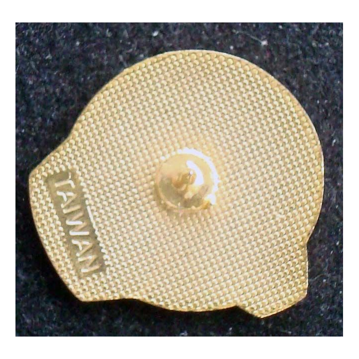 PIN'S NASA :  Gibso