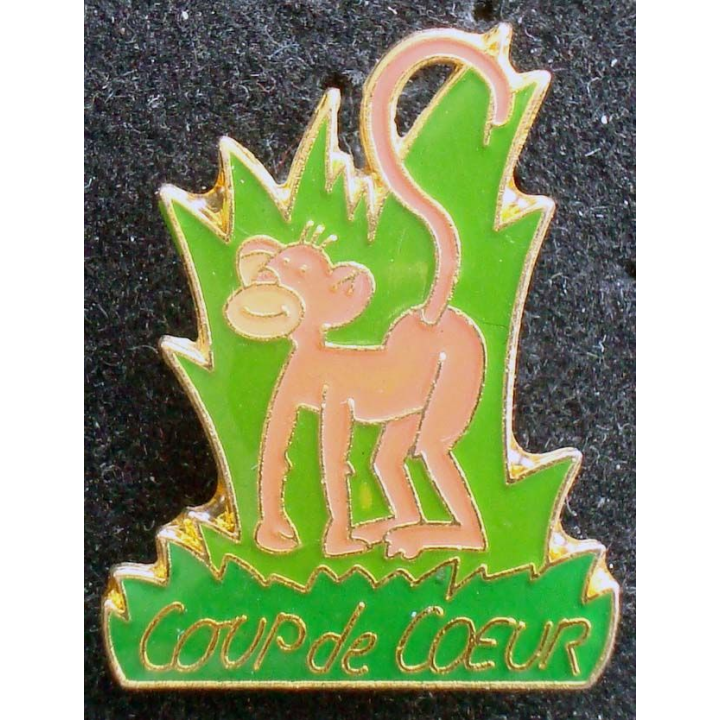 PIN'S COUP DE COEUR