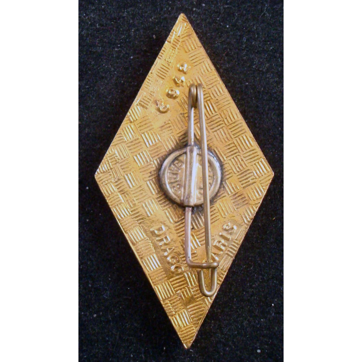 CUIRS : insigne du 4° régiment de cuirassiers La Reine Cavalerie de fabrication Drago Paris G. 942