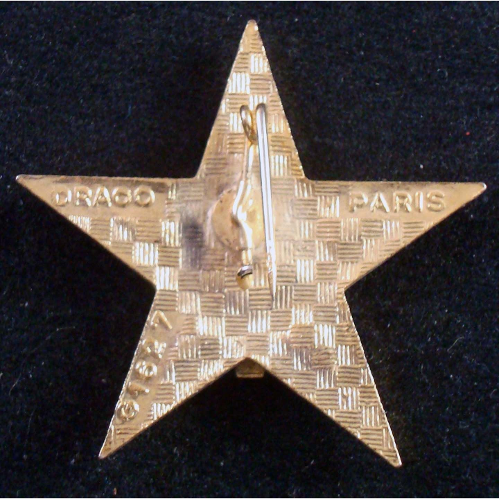 1° RS : insigne métallique du 1° régiment de spahis de fabrication Drago G. 1627