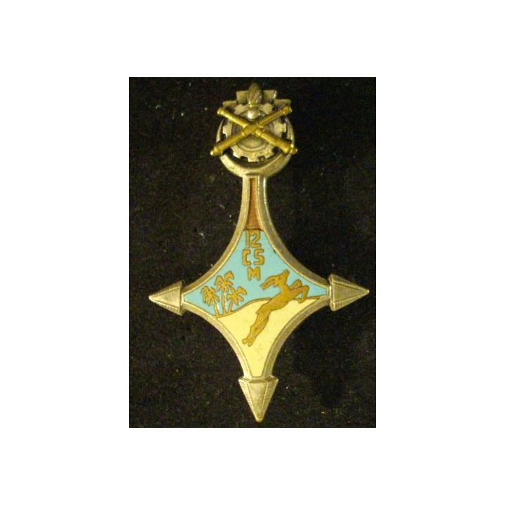12°CSM : 12°COMPAGNIE SAHARIENNE DU MATÉRIEL