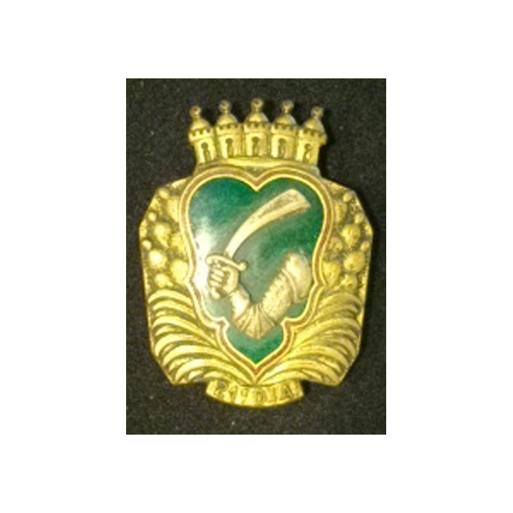 21° DIA : 21° DIVISION D'INFANTERIE ALGERIENNE de fabrication Drago Olivier Métra G. 878 en émail
