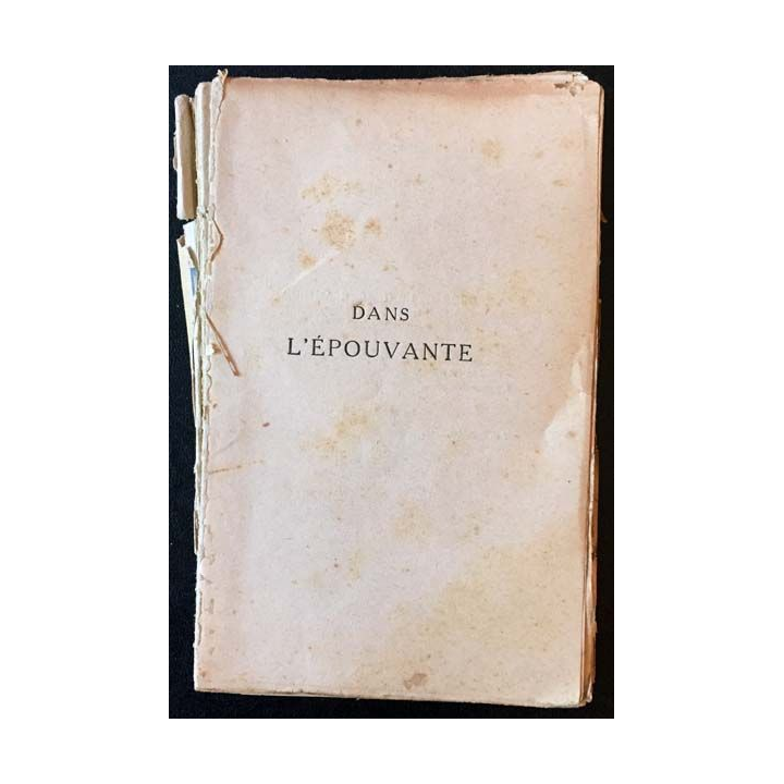 1. Dans l'épouvante de Hanns Heinz Ewers aux éditions La renaissance du livre