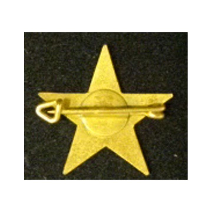 6°RTM : 6°RÉGIMENT DE TIRAILLEURS MAROCAINS INSIGNE DE CHEICHE