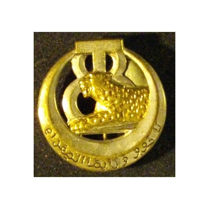 insigne du 8° régiment de tirailleurs tunisiens 8° RTT