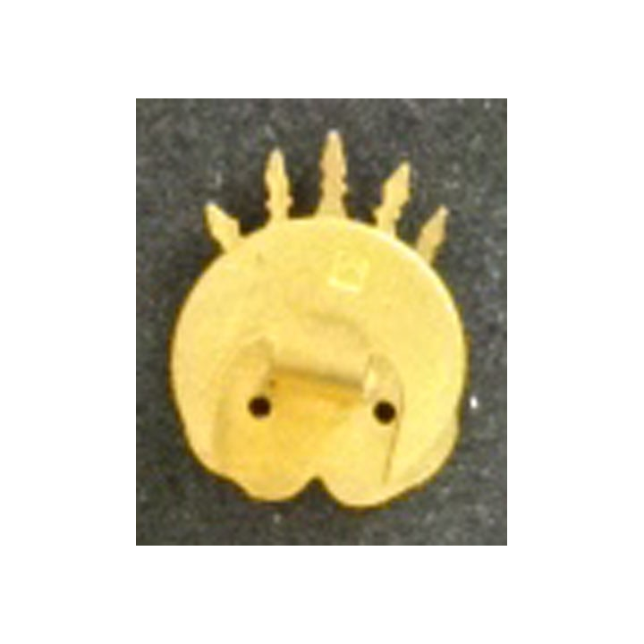 Insigne miniature des amitiés africaines de hauteur 2 cm (manque le centre)