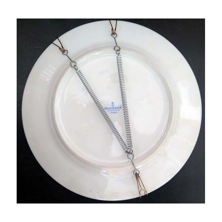 15° DI : assiette en porcelaine de Haviland Limoges de la 15° division d'Infanterie en 1986