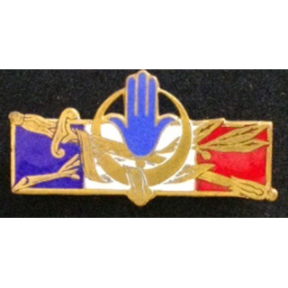 FORCES FRANÇAISES AFRIQUE DU NORD (D 1314) ÉMAIL DOS LISSE