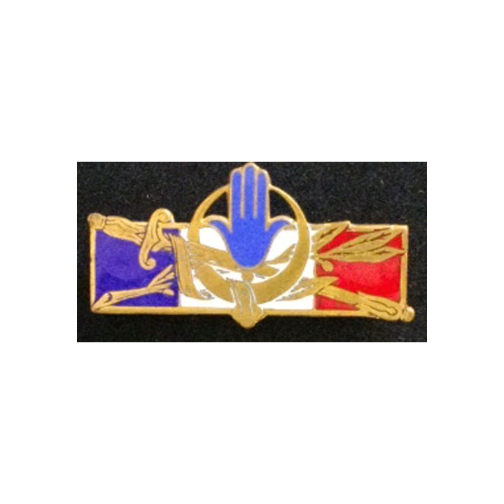 FORCES FRANÇAISES AFRIQUE DU NORD (D 1314) ÉMAIL DOS LISSE