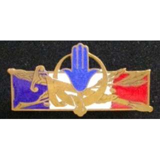 FORCES FRANÇAISES AFRIQUE DU NORD (SANS 1314) ÉMAIL