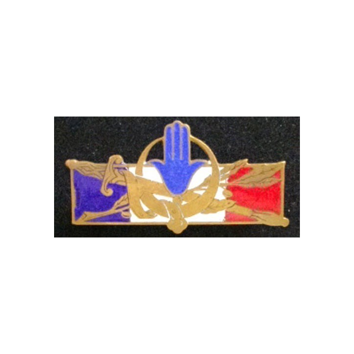 FORCES FRANÇAISES AFRIQUE DU NORD (SANS 1314) ÉMAIL