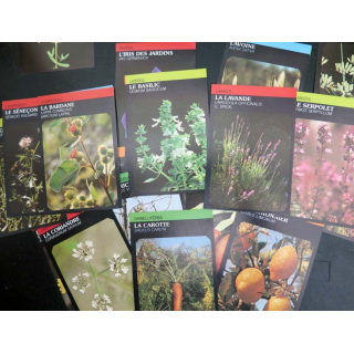 30 Cartes sur les plantes et les fleurs