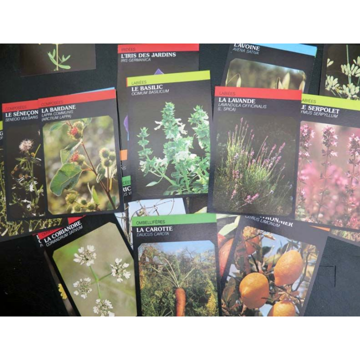 30 Cartes sur les plantes et les fleurs