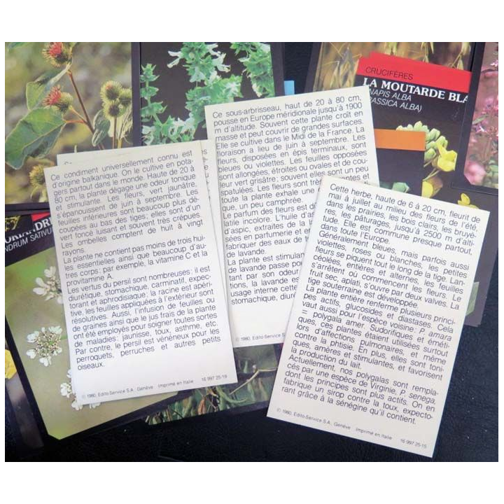 30 Cartes sur les plantes et les fleurs