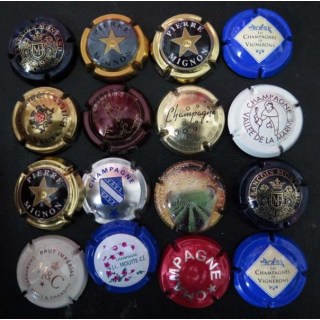 MUSELET : Lot de 16 muselets de bouteilles de champagne et de mousseux ou assimilés lot 19