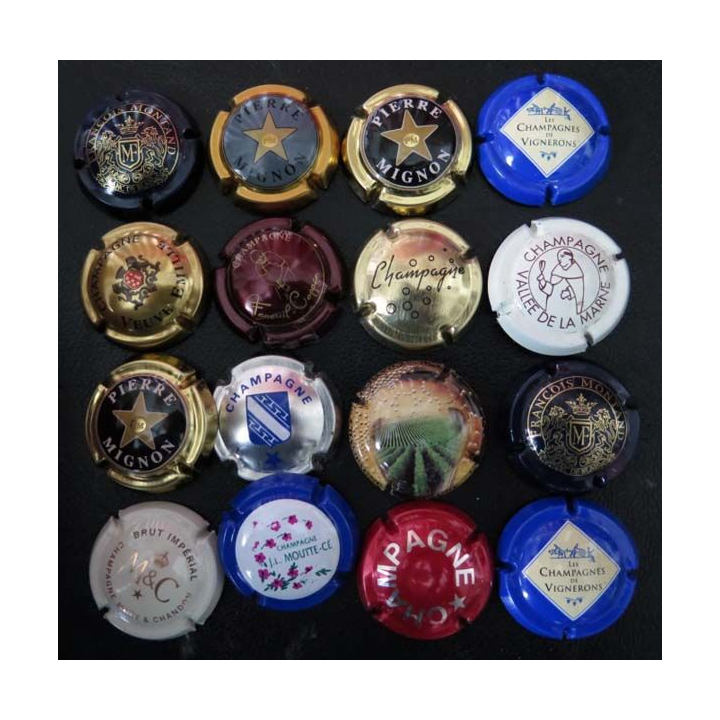 MUSELET : Lot de 16 muselets de bouteilles de champagne et de mousseux ou assimilés lot 19