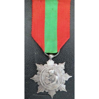 FRANCE :  médaille de la famille française la Patrie reconnaissante en métal argenté