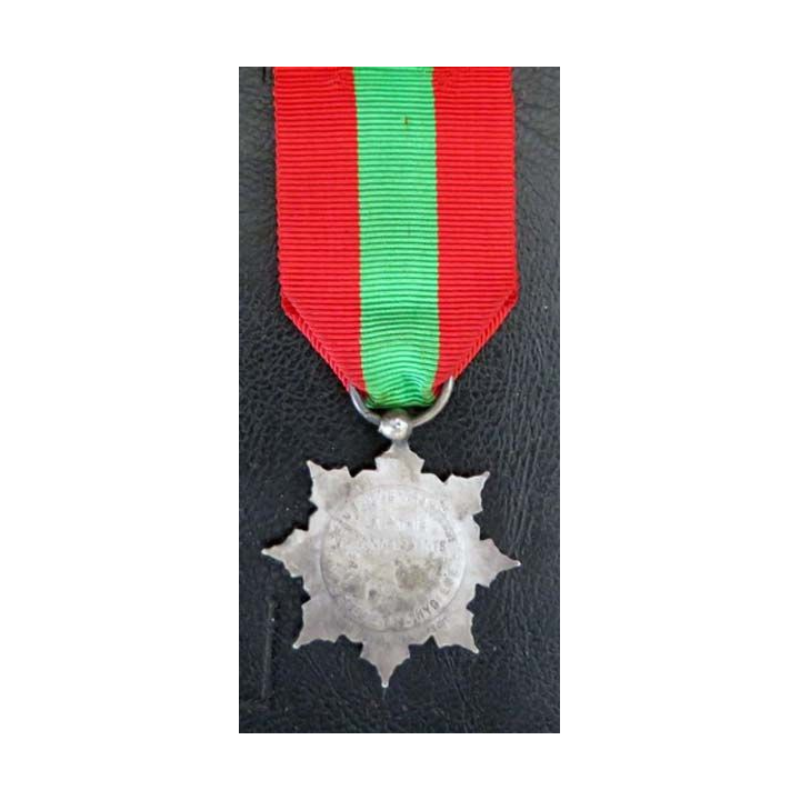 FRANCE :  médaille de la famille française la Patrie reconnaissante en métal argenté
