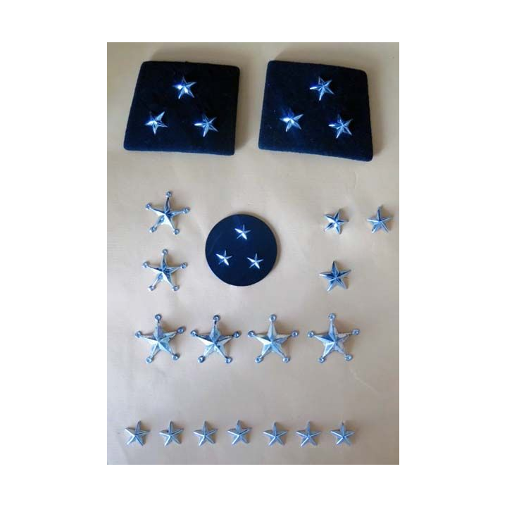 MILITARIA : plaque d'étoiles de Général de division avec épaulette et insigne de béret