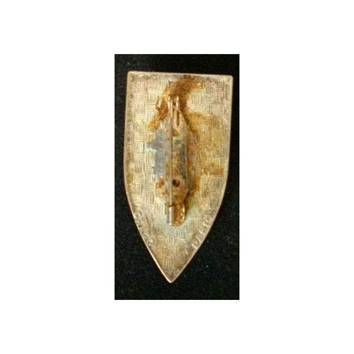 CHASSEURS : insigne du 11° Groupe d'escadrons de chars moyens (GECM) "voilà les bons" de fabrication Drago Paris attache collée
