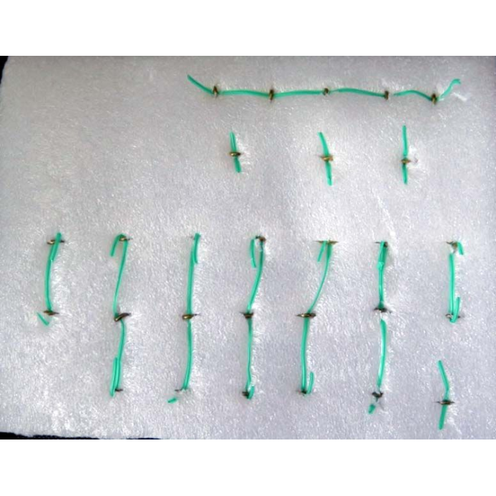 MILITARIA : plaque de boutons en laiton pour uniformes de généraux et gendarmerie