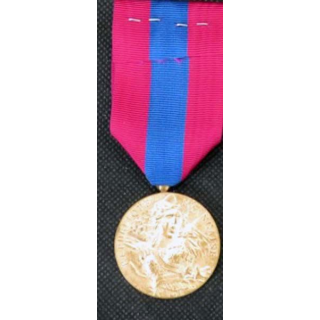 FRANCE : médaille de la défense nationale modèle en métal doré brillant