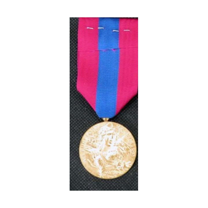 FRANCE : médaille de la défense nationale modèle en métal doré brillant