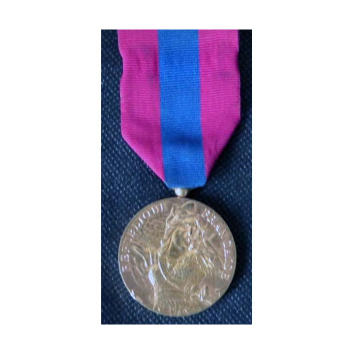 FRANCE : médaille de la défense nationale modèle en métal doré brillant