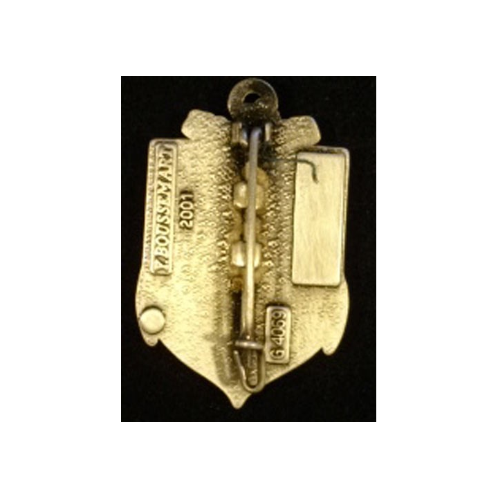  Insigne de l'hôpital d'instruction des armées Sainte Anne