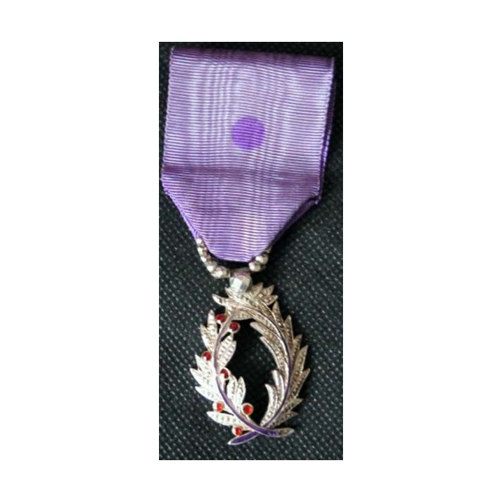FRANCE : médaille de chevalier de l'Ordre des Palmes Académiques modèle luxe superbe