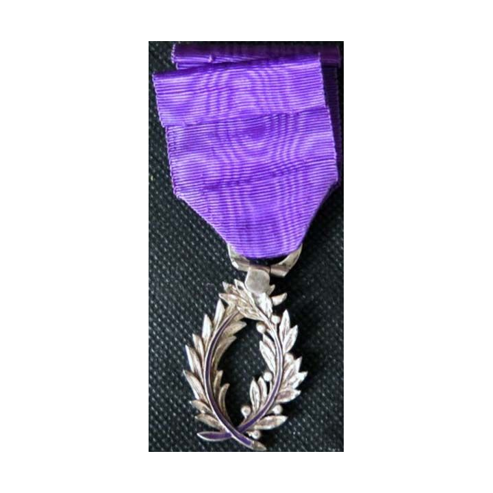 FRANCE : médaille de chevalier de l'Ordre des Palmes Académiques modèle luxe superbe