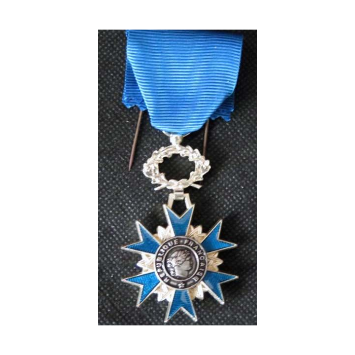 FRANCE : médaille de chevalier de l'Ordre National du Mérite en bronze argenté émaux superbes