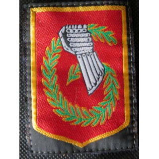 6 °DLB :  insigne tissu de la 6° division légère blindée
