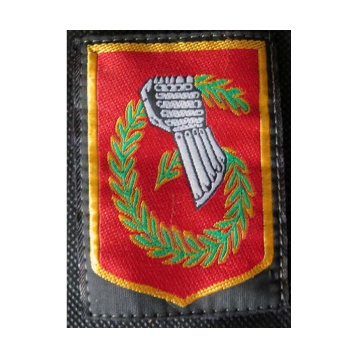 6 °DLB :  insigne tissu de la 6° division légère blindée