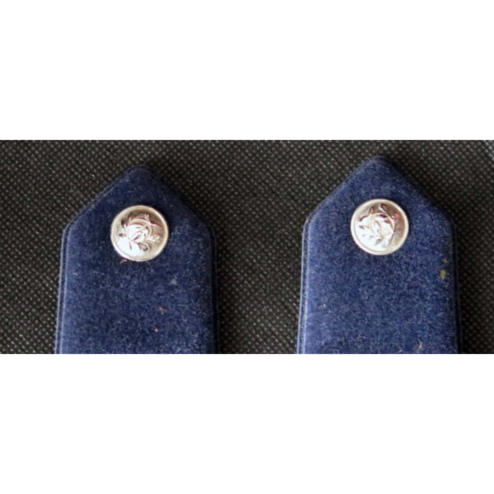 MILITARIA : fourreau d'épaule de gardien auxiliaire de police vendu par paire